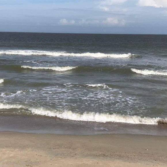 Meet your Posher, Greg - Picture 1 of 1